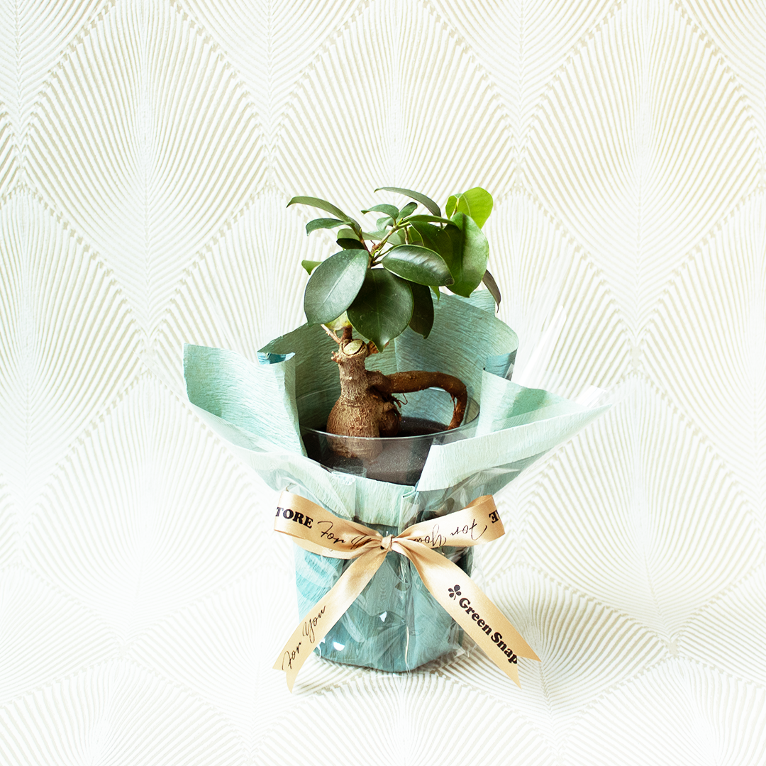 IMG_1710CUP.png